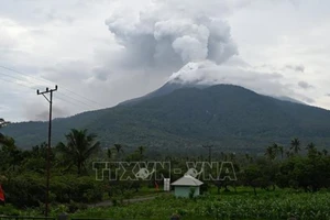 Tro bụi phun lên từ núi lửa Lewotobi Laki-Laki, nhìn từ làng Pulolera ở Flores Timur, tỉnh đông Nusa Tenggara, Indonesia, ngày 17/1/2024. (Ảnh tư liệu: THX/TTXVN)