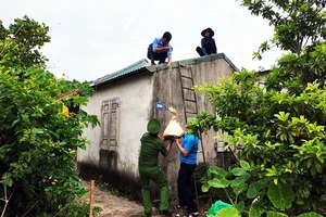 Các lực lượng hỗ trợ người dân trên đảo Cô Tô (Quảng Ninh) chằng chống nhà cửa. (Ảnh QUANG THỌ)