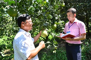 Cán bộ công chức huyện Bắc Tân Uyên (tỉnh Bình Dương) trao đổi kỹ thuật chăm cây ăn trái với người dân. (Ảnh MỸ HÀ)