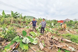 Cán bộ xã Tân Quang (huyện Lục Ngạn) trao đổi với hộ anh Trần Bá Điệp (bên trái) phương án khắc phục hậu quả bão số 3.