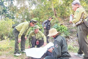 Ứng dụng công nghệ số giúp ngành kiểm lâm Quảng Ngãi thực hiện tốt nhiệm vụ quản lý, bảo vệ rừng. 