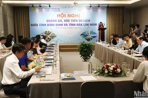 Phó Giám đốc Sở Văn hóa-Thể thao và Du lịch tỉnh Đắk Lắk Nguyễn Thụy Phương Hiếu phát biểu tại hội nghị.