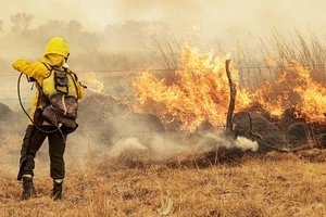 Cháy rừng do thời tiết khô hạn tại Argentina. (Ảnh REUTERS)