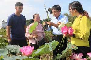 Mô hình “Xây dựng và hoàn thiện mô hình điểm quy mô 100ha chuyển đổi sản xuất hữu cơ, ứng dụng cơ giới hóa, công nghệ 4.0 gắn với liên kết tiêu thụ và du lịch trải nghiệm” ở Tổ hợp tác sen xã Hưng Thạnh”.