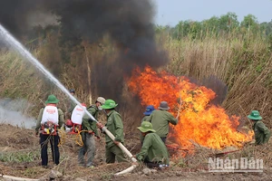 Lực lượng chức năng triển khai phương án chữa cháy rừng.