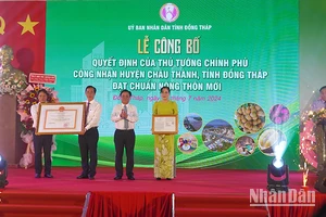 Lãnh đạo huyện Châu Thành đón nhận Bằng công nhận đạt chuẩn nông thôn mới. (Ảnh: HỮU NGHĨA)