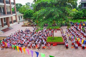 Trường Tiểu học Hòa Hải, huyện Hương Khê (Hà Tĩnh).