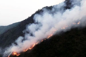 Xảy ra cháy rừng tại huyện Vị Xuyên (Hà Giang).