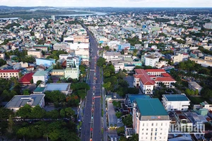 Theo Sở Xây dựng tỉnh Quảng Ngãi, hiện nhiều tuyến đường, khu phố trên địa bàn tỉnh chưa đáp ứng yêu cầu mỹ quan cây xanh đô thị. 