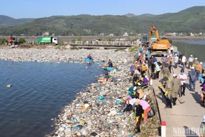 Các lực lượng, phương tiện thu gom rác thải tại khu vực đầm nước mặn, một trong những "điểm nóng" về rác thải ở Sa Huỳnh. 