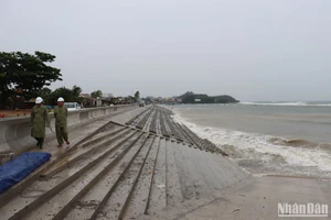 Những năm qua, nhờ có tuyến kè kiên cố chắn sóng dữ, người dân các làng chài ven biển xã Bình Hải, huyện Bình Sơn (Quảng Ngãi) an tâm trong mùa mưa bão.