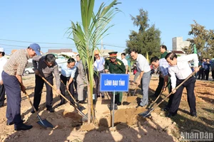 Các đồng chí lãnh đạo tỉnh Quảng Ngãi tham gia trồng cây ven bãi biển xã Nghĩa An, thành phố Quảng Ngãi.