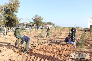 Chung tay trồng cây xanh ven bãi biển xã Nghĩa An, thành phố Quảng Ngãi (Quảng Ngãi)