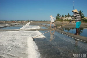 Nghề làm muối ở Sa Huỳnh có truyền thống lâu đời (từ thế kỷ 19) nên người dân rất gắn bó và có nhiều kinh nghiệm sản xuất muối.