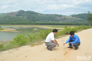 Các vết nứt xuất hiện trên thân đập đất tăng dần, hồ chứa nước Ông Tới là công trình có nguy cơ mất an toàn.