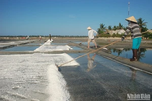 Đồng muối Sa Huỳnh không chỉ mang giá trị kinh tế mà còn có giá trị văn hóa, lịch sử của người dân Sa Huỳnh cổ. 