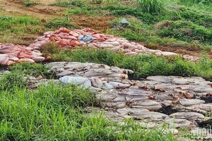 Hiện trường vụ đổ chất thải gây ô nhiễm môi trường ở thị trấn Tà Lùng, huyện Quảng Hòa, tỉnh Cao Bằng.