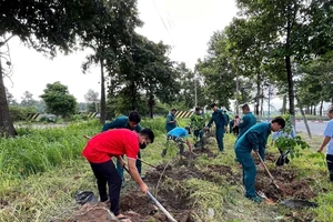 Người dân thành phố Thủ Dầu Một, tỉnh Bình Dương tích cực trồng cây đô thị. Ảnh: Thu Thảo