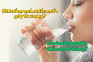 Khi uống nước quá nhiều gây tác hại gì? Cách uống nước thế nào là đúng?