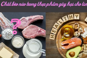 Chất béo nào trong thực phẩm gây hại cho tim?