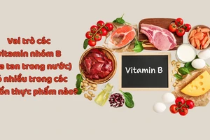 Vai trò các vitamin nhóm B (hòa tan trong nước) có nhiều trong các nguồn thực phẩm nào?