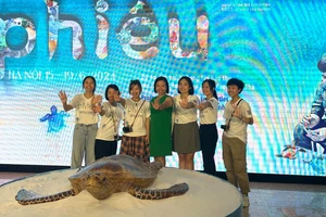 Khai mạc triển lãm Phiêu cùng rùa biển