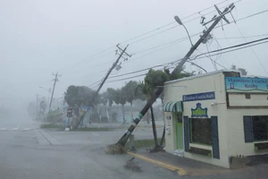 Cơn bão quật đổ nhiều cột điện tại Florida. (Ảnh: Reuters) 