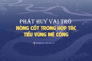 Phát huy vai trò nòng cốt trong hợp tác Tiểu vùng Mê Công