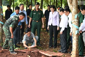 Lãnh đạo tỉnh Bình Phước khảo sát khu vực tìm kiếm hài cốt liệt sĩ tại huyện Lộc Ninh.