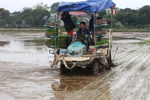 Máy cấy của Hợp tác xã dịch vụ nông nghiệp thị trấn Tân Thanh, huyện Thanh Liêm.
