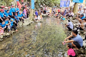 Suối cá Cẩm Lương, huyện Cẩm Thủy (Thanh Hóa) là điểm hấp dẫn khách du lịch.