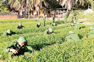 Bộ đội chăm sóc vườn rau sau giờ huấn luyện.