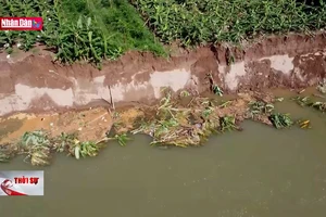 Xử lý khẩn cấp sự cố sạt lở bờ sông Đà tại xã Dân Quyền 
