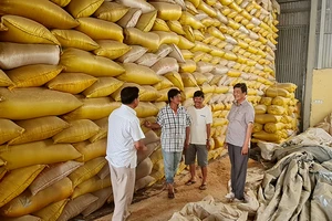 Hợp tác xã Dịch vụ-Nông nghiệp Tân Tiến, thành phố Vị Thanh, được hỗ trợ xây nhà kho phục vụ sản xuất và chế biến gạo.