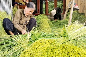 Nét quê ở làng cốm Mễ Trì.