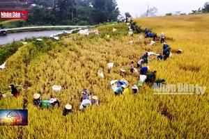 Lai Châu: Bộ đội Biên phòng giúp đỡ người dân biên giới