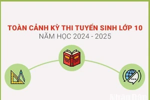 [Infographic] Toàn cảnh kỳ thi tuyển sinh vào lớp 10 năm học 2024-2025 của Hà Nội 