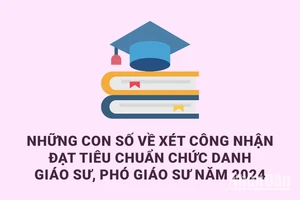 [Infographic] Toàn cảnh xét công nhận đạt tiêu chuẩn chức danh GS, PGS năm 2024