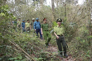 Hạt kiểm lâm huyện Sơn Dương phối hợp các đơn vị và người dân tuần tra rừng đặc dụng Tân Trào.