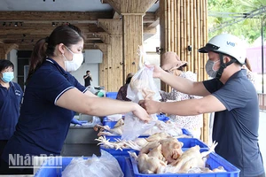 Đà Nẵng hình thành Trung tâm chế biến sản phẩm gia súc, gia cầm tập trung theo hướng áp dụng công nghệ giết mổ, chế biến hiện đại, văn minh, đúng quy định.