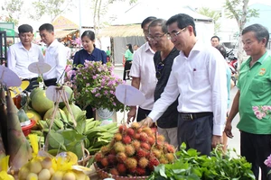 Đại biểu tham quan sản phẩm của nông dân Hòa Vang.