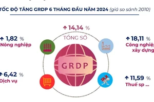 Các ngành kinh tế đóng góp tăng trưởng của Bắc Giang 6 tháng đầu năm 2024.