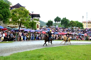 Đua ngựa thồ, với những kị sĩ nông dân là nét đặc sắc của Festival "Cao nguyên trắng Bắc Hà"-2023. (Ảnh: QUỐC HỒNG)