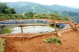 Hố trữ nước trên đồi trồng chuối, nơi xảy ra việc 3 nạn nhân trẻ em bị đuối nước, ở xã Nậm Chạc, huyện Bát Xát, tỉnh Lào Cai. (Ảnh: QUANG PHẤN)
