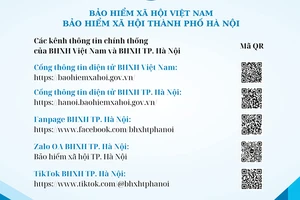 Một số kênh thông tin chính thống của cơ quan bảo hiểm xã hội Việt Nam. (Ảnh: HSS)