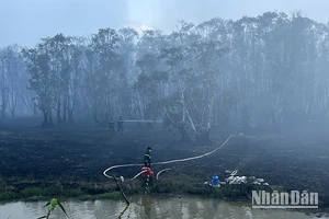 Cháy rừng tại Khu A1 Vườn quốc gia Tràm Chim, ngày 11/6/2024. (Ảnh: HỮU NGHĨA)