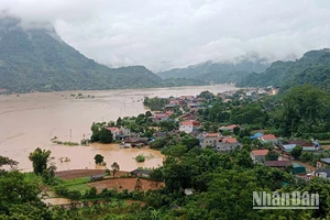 Nước ngập cánh đồng và cả nhà dân ở xã Nam Cường, huyện Chợ Đồn, tỉnh Bắc Kạn. (Ảnh: TUẤN SƠN)