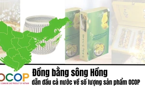 [Infographic] Đồng bằng sông Hồng dẫn đầu cả nước về số lượng sản phẩm OCOP