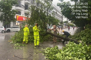 Cảnh sát giao thông giúp người dân thu dọn hậu quả do bão tại thành phố Hạ Long, Quảng Ninh.