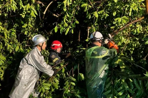 100% cán bộ, chiến sĩ Công an Thủ đô ứng trực, có mặt ngay khi dân cần.